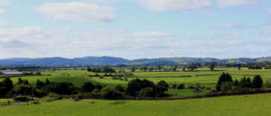 Dumfries Countryside Bed and Breakfast